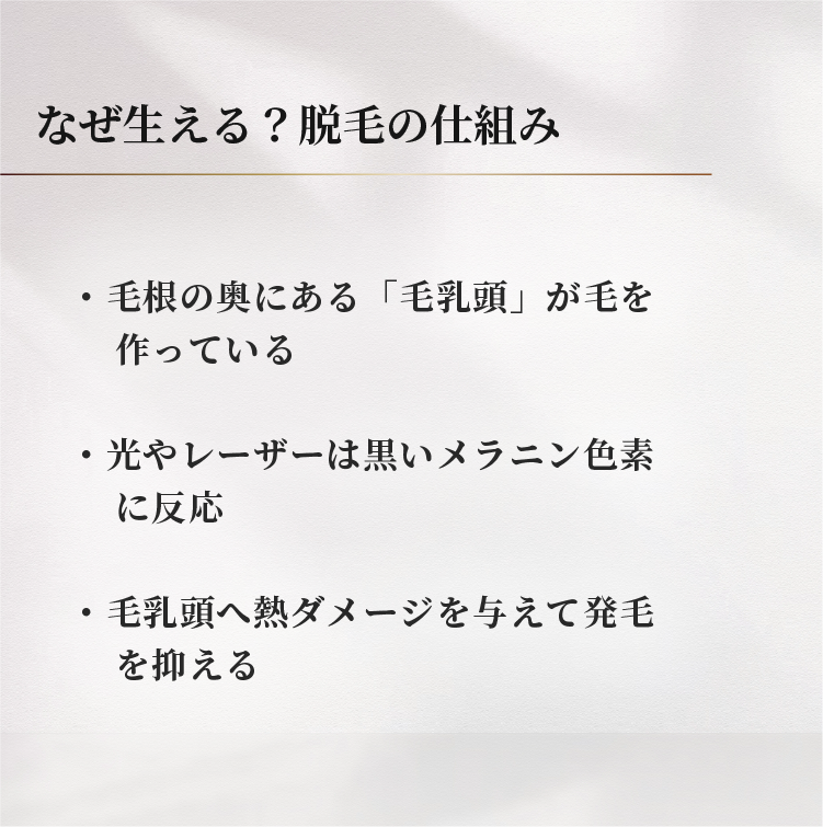 RINX_OFFICIAL's tweet photo. 自己処理してもすぐ生えてきたり、脱毛が1回で完了しなくて「なんで？」と思ったことはありませんか？🤔

毛が何度も生えてくる理由のひとつが
「毛周期」です💡

毛には生え変わりのサイクルがあり、
脱毛の効果が期待できるのは、
全体の20〜30%にあたる「成長期」の毛。

毛周期に合わせて適切な間隔で施術を重ねることが、
理想の肌を目指すポイントです✨

#メンズ脱毛 #ヒゲ脱毛 #リンクス #脱毛の仕組み