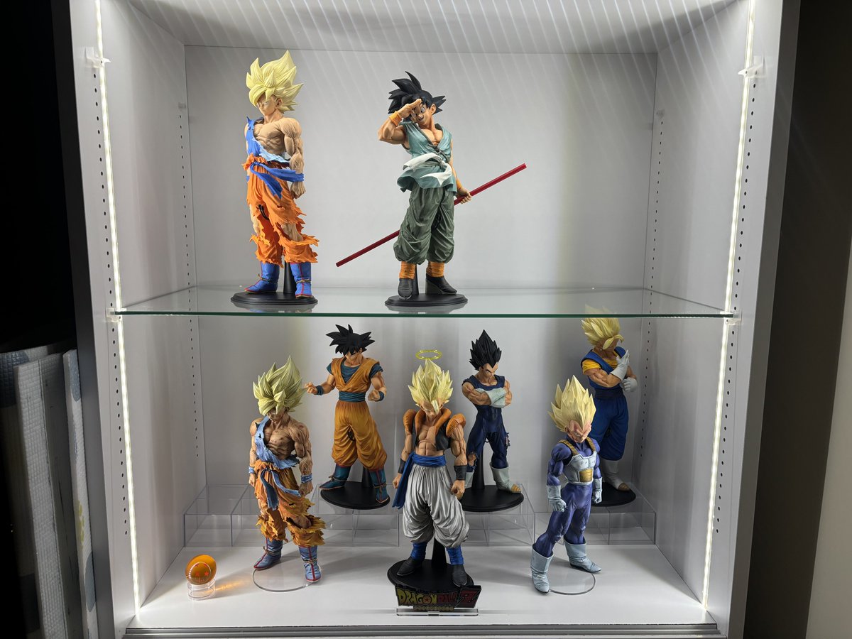 Kyouryu_GAoo's tweet photo. 好きなフィギュアだけ詰め込む
残り6体の予定 https://t.co/KcQ6MlPUYU