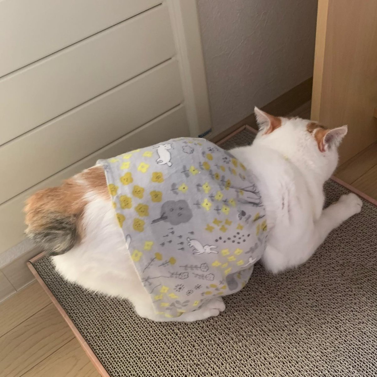 BeverleyBe363u's tweet photo. 本音なんて飲み込んで、適当に生きてる方が楽な時もあるよね。まあ。 https://t.co/cXLZMMieiT