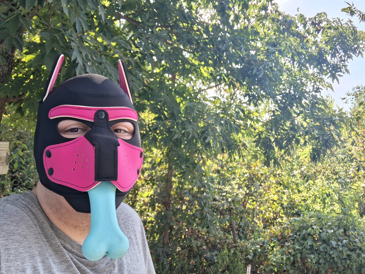 Silver_wolf_pup's tweet photo. Puppy and his bone #pupplay #pupmask #gay #mlm #pup #boy #omega #submissive https://t.co/lmbQNH4xjL