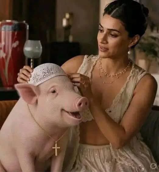 tathvamasi6's tweet photo. Among all the ads Kriti Sanon did, I like this one the most. This is the best one till now.

What’s your favourite? https://t.co/fbgwbHecNE