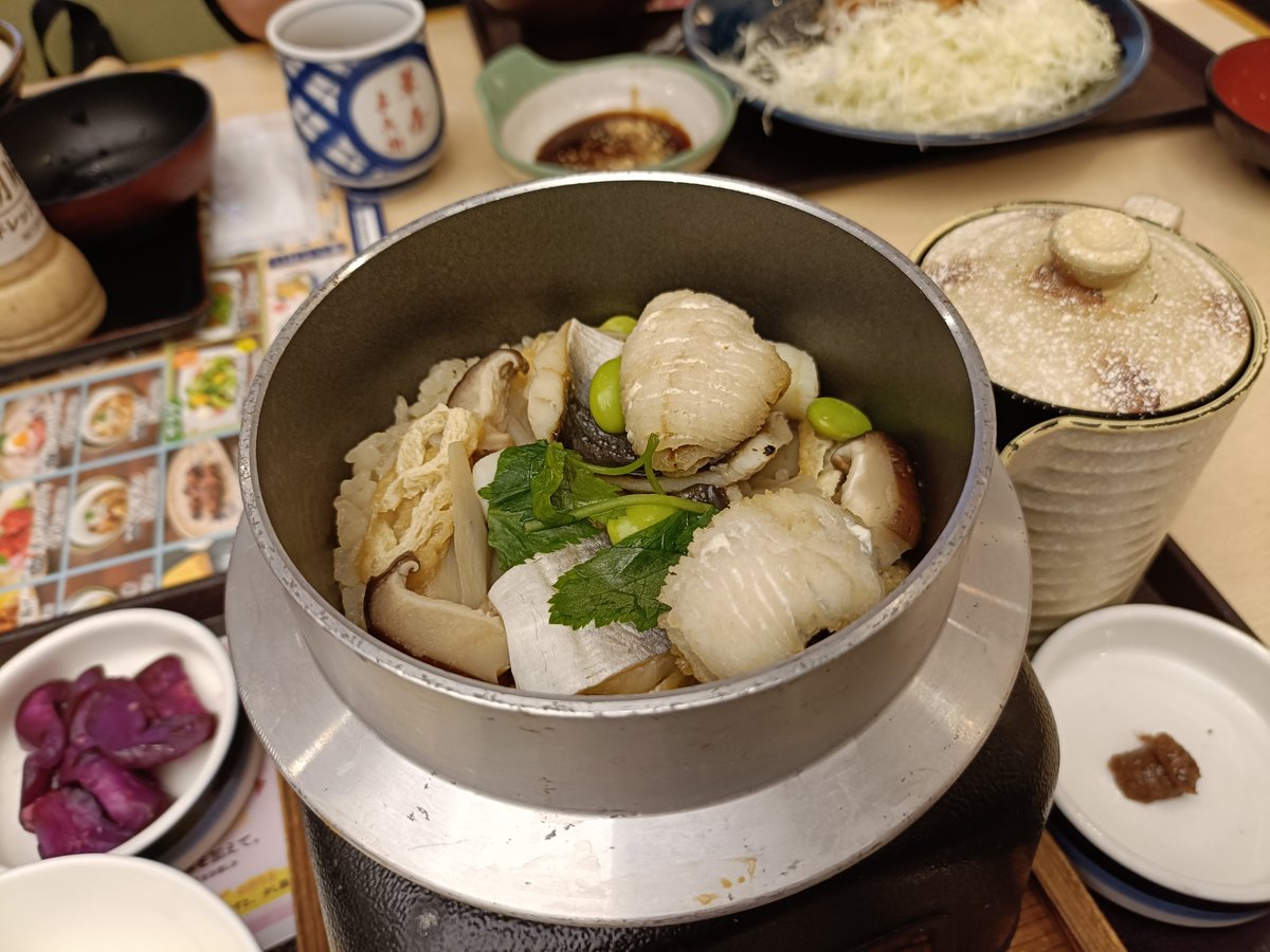 nowhappygo1's tweet photo. 某　華屋与兵衛
K日部大沼店

鱧（はも）の釜飯
本まぐろ大とろ刺身
刺身3点盛り
生ビール　中🍺 https://t.co/SfUxVZwzqv