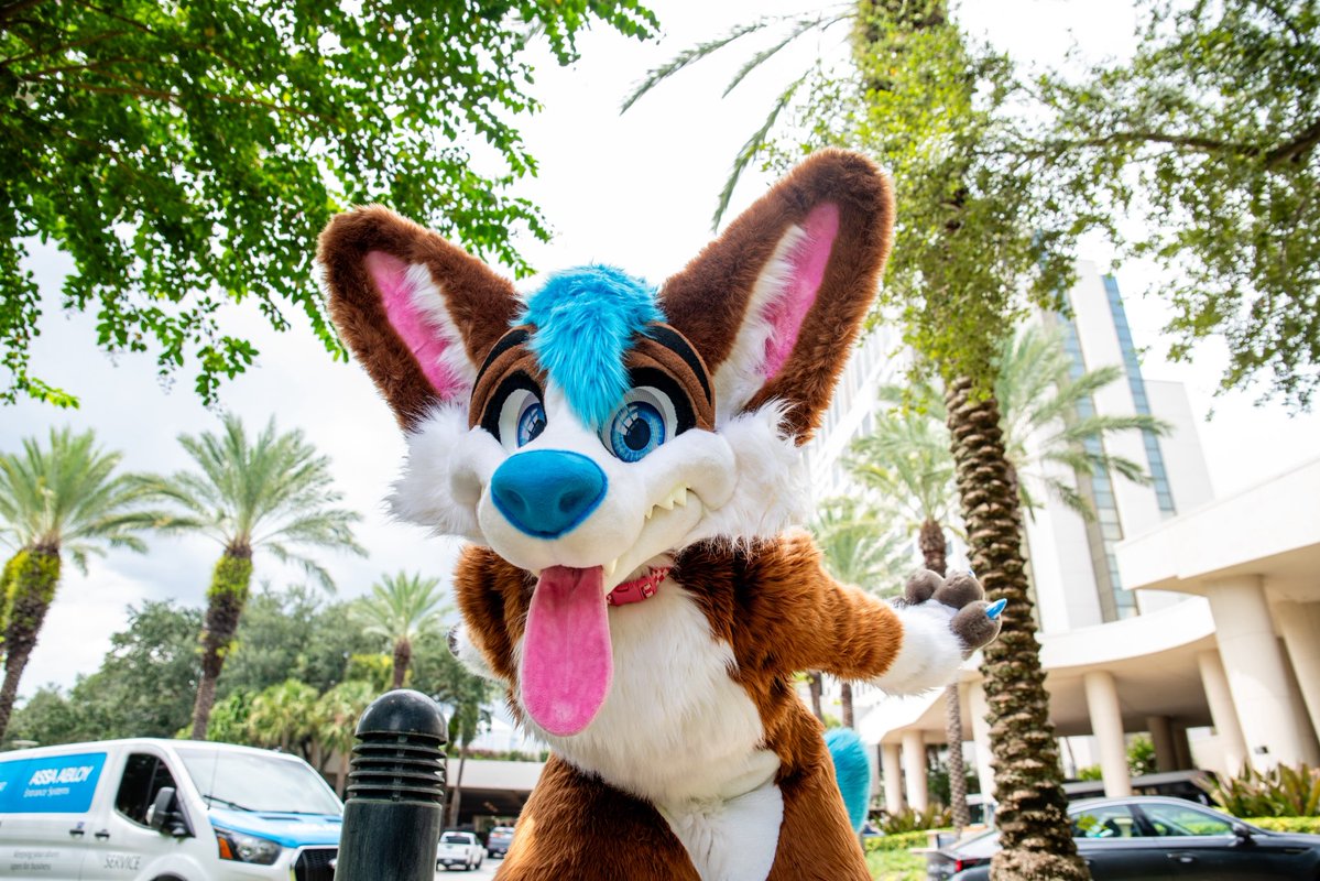 _bodieblue's tweet photo. hooray! it’s #fursuitfriday!

📷: @AscariHusky_ 

🪡: @MoreFurLess https://t.co/253ymyAro3