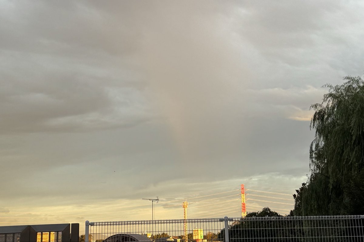 2tXnt's tweet photo. 2年前の8/26 の夜、21年家族だったハナが虹の橋🌈を渡ったんです
次の日の朝🌈が出てて
あぁあの🌈を渡ったんだなと🥹

あれから2年、今朝、薄々ですがほぼ同じ位置、時刻に🌈が

そしたら、仕事終えて帰ったら庭に子猫がいるんです。　🏠入れてーって
妻はハナが帰ってきた！って
🏠入れていい？ https://t.co/D4afGO79hY