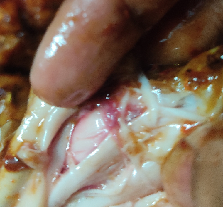 ShubhadeepSah13's tweet photo. @Swiggy @SwiggyCares   Received undercooked chicken from Grill hub. The chicken is visibly pink inside and is not safe to eat. Contacted in-app support, but my issue was not resolved. I've attached photos. Please review this and issue a full refund. Order ID : #246878959193792 https://t.co/7Jq1a3f48r