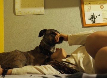 slutbetty's tweet photo. It’s weekend 💯🥰
DM for Dropbox and more ❤️

https://t.co/amwV68p3SG
💦����🐾

#zoophillia #zoosarevalid #beastiality #usa #usaexclusive #ilovedogs #dogs #USA #dogknot https://t.co/TpT95l1okC
