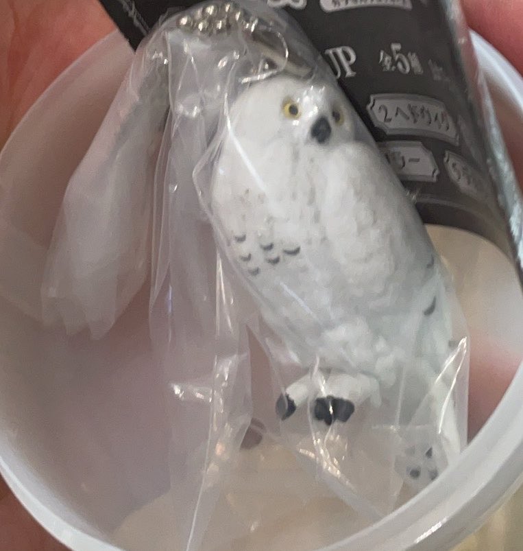 12a____i25's tweet photo. ハリポタ　ガチャ　交換
ハリーポッター&amp;ファタスティック・ビースト魔法生物 capsuleflockiesチャーム

譲:ヘドウィグ
求:ドビー

郵送希望！
手渡しは場所により都内可能です。要相談させてください。

よろしくお願いします！ https://t.co/jwOwdgAsoR