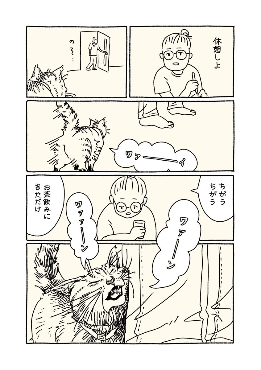 koma7sai's tweet photo. 愛されていることを知っている猫 https://t.co/cuFnxLBXji