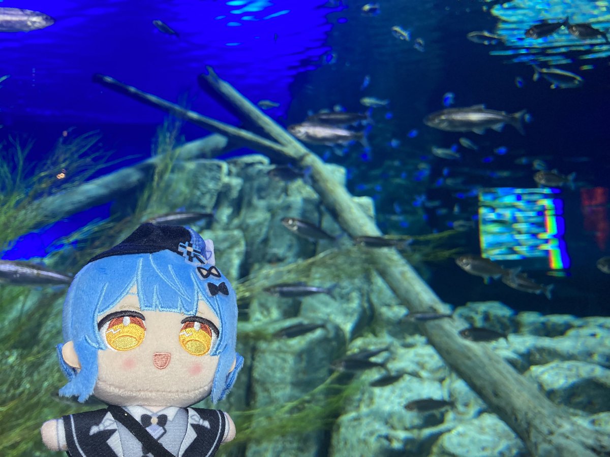 33__otaku's tweet photo. グッズ集めと旅行が趣味の共犯者です！
気軽に絡んでくださると嬉しいです！

全反応お迎えにあがります
無言フォロー失礼しますm(_ _)m

よろしくお願いします！

#まのさば
#まのさば共犯者さんと繋がりたい 
#共犯者さんと繋がりたい 
#共犯者自己紹介カード https://t.co/s8wyOvZjDX