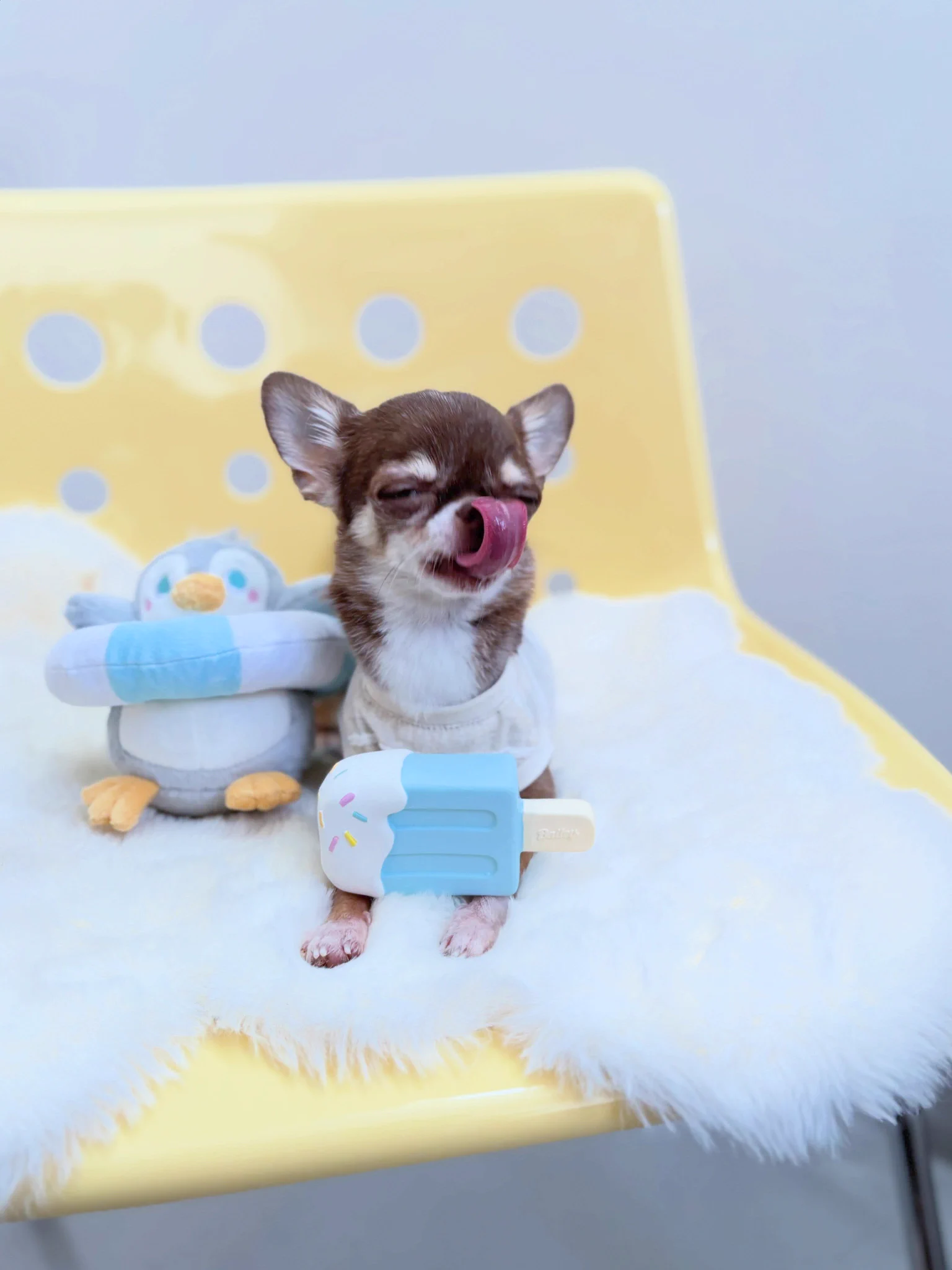 Doggy Box(ドギーボックス) (@doggybox_jp) / X