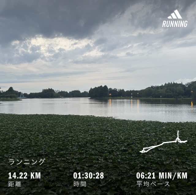 kfrun7's tweet photo. 14.2km🏃

日が落ちるのが早くなったなぁと感じます。18時過ぎると今日みたいな薄曇りの日は特に暗い。転ばない様に気をつけないと😅

#ジョギング #ランニング https://t.co/Ea4Dn1XgtS