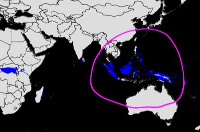 gdl089's tweet photo. @kaelakovalskia Of course, because Indonesia's climate is tropical rainforest climate. That climate is always SUMMER. https://t.co/lVICLSKLbr