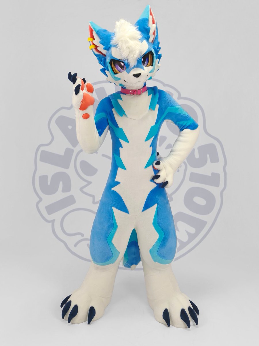 coalboss0708's tweet photo. 【Stretchy Short Plush Series】
Customer@阿财

Thank you for your entrustment. https://t.co/xV8KfoL20Y