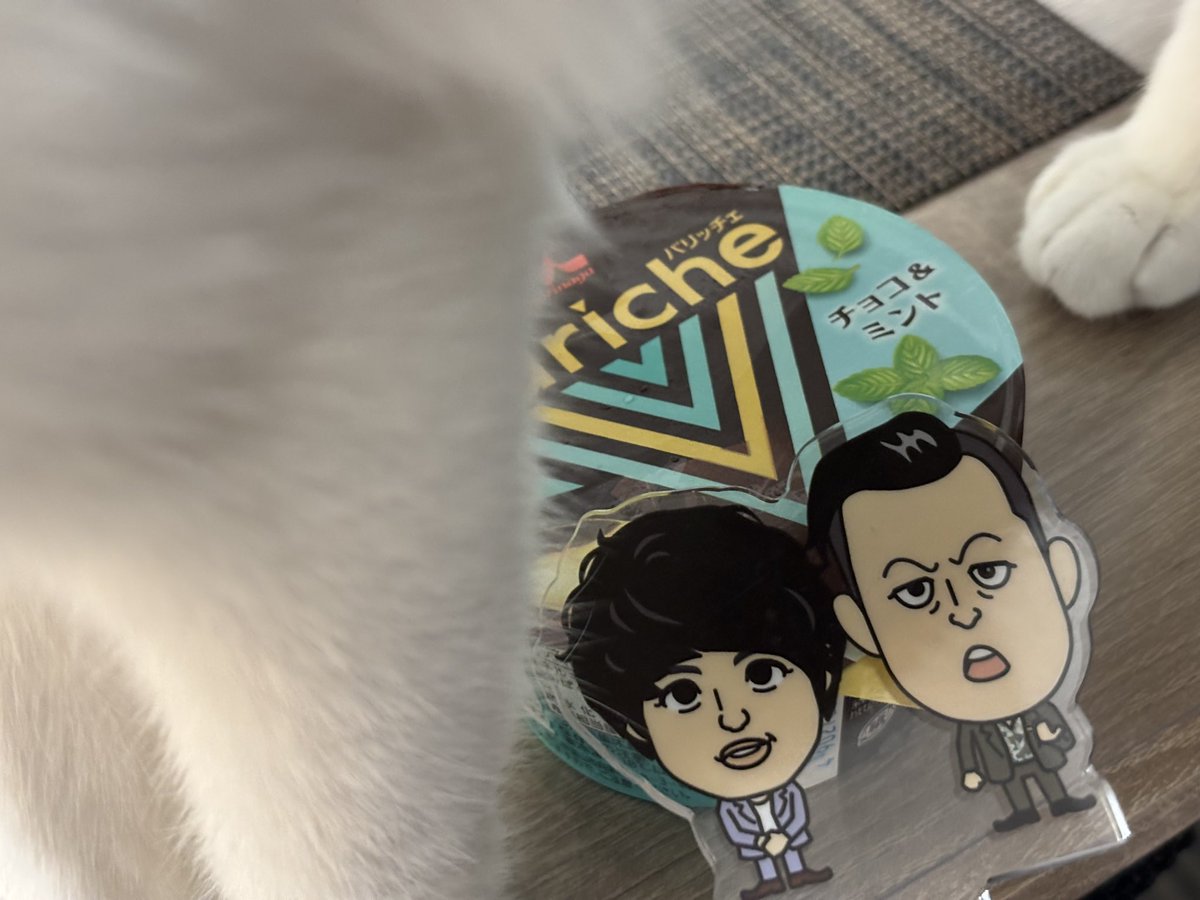y_Autumn_'s tweet photo. 浮かれてる日は自撮りもするし帰りにアイスも買うし、同棲してるからペットも飼ってる https://t.co/r22kB4245D