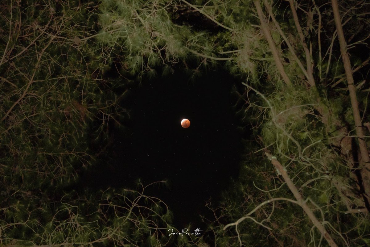 JacobPeraltaP's tweet photo. Así se vio el eclipse lunar parcial desde Cachi, en el cantón Girón. Durante el punto máximo, cerca del 93 % de la Luna quedó bajo la sombra que proyectó la Tierra, adquiriendo una tonalidad rojiza. Estas son algunas de las imágenes captadas desde la comunidad. https://t.co/YYh3CPMhst