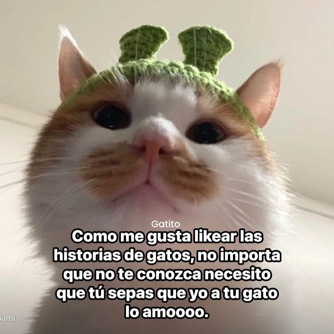 MaskotikasCali's tweet photo. https://t.co/W55KpJraEO