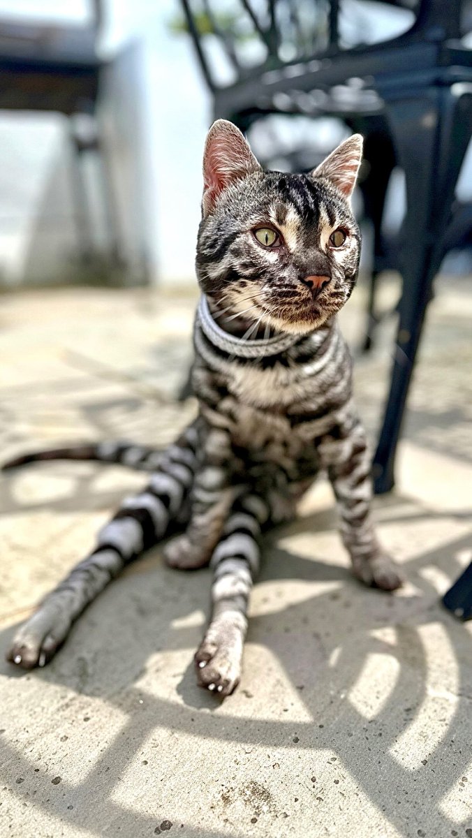 ottowobbles's tweet photo. Sơn hào hải vị sao bằng 1 tô mỳ gói :))) #thopea #mìgói #ănngon #vungtau #dulich https://t.co/v1LQZr8Mp7