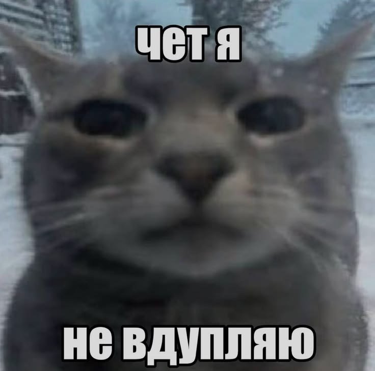 lovzmdj's tweet photo. как не быть изгоем в твиттере https://t.co/2fI3yx07OR