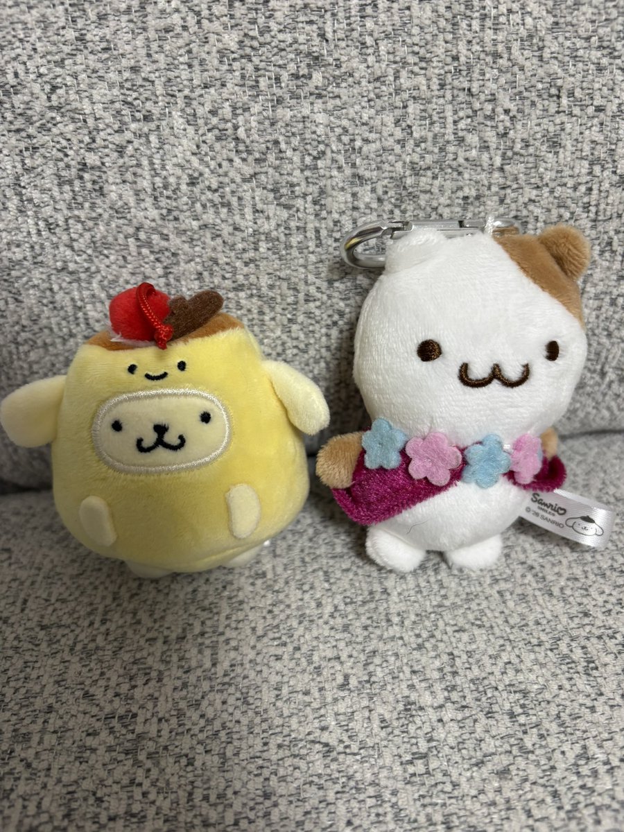 Ren_SySb's tweet photo. 🥹 https://t.co/0arEEC7y7F