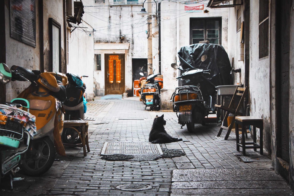 burqi_'s tweet photo. Lunchtime detour led me to this sun-dappled alley, where a vintage bike leaned against a brick wall and street cats napped on warm concrete. Perfect little moment to pause and shoot. https://t.co/7whCSe1CMo