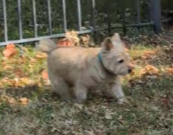 ARRingo_Dev's tweet photo. https://t.co/i21KYgQo29