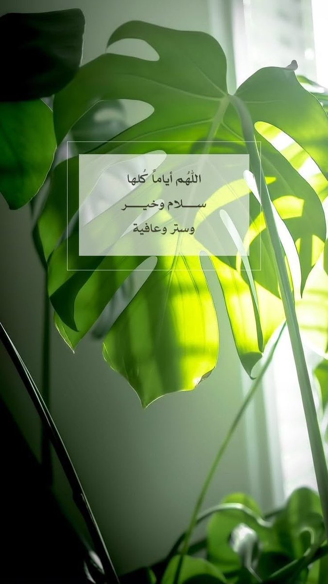 yarab7m's tweet photo. #اللهم أعناعلى ذكرك وشكرك
وحسن عبادتك وطاعتك
#اللهم إنا نستغفرك ندعوك نسألك
#اللهم سعةوبركة تيسير ستر
وتوفيق وقضاءالحاجات
وإجابة الدعوات ياكريم
#اللهم_رحمتك_وعفوك_وعافيتك
#اللهم_فضلك_ورضاك_والجنة
#صباح_الخير_والسعادة 🎉✨
#لاحول_ولاقوة_الا_بالله #الحمد_لله
#استغفر_الله #يارب ☔️🌿 https://t.co/vG2ZMopK6A