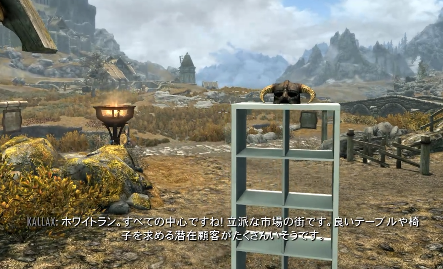 Vault76info's tweet photo. IKEAの棚はスカイリムに詳しい。 https://t.co/I8XexwhCRU