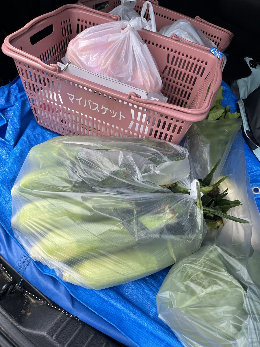 vvvtihaya's tweet photo. 早稲沢高原野菜愛好家の皆様

森川荘のとうもろこし今日から本格的に始まりました https://t.co/j7WrwmxKkH