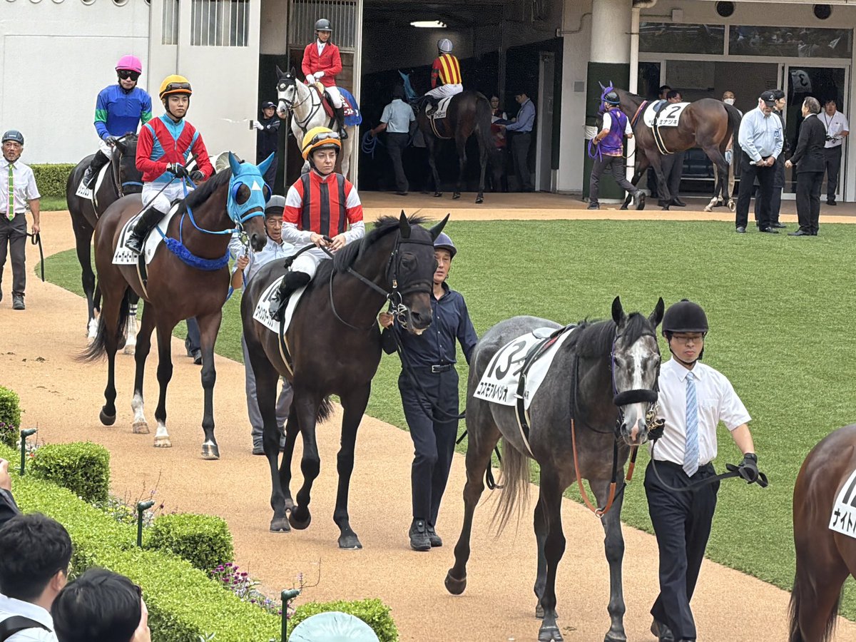 penginSergeant's tweet photo. ミシェル騎手とウインスターリング🏇 https://t.co/AeiePV5sKi