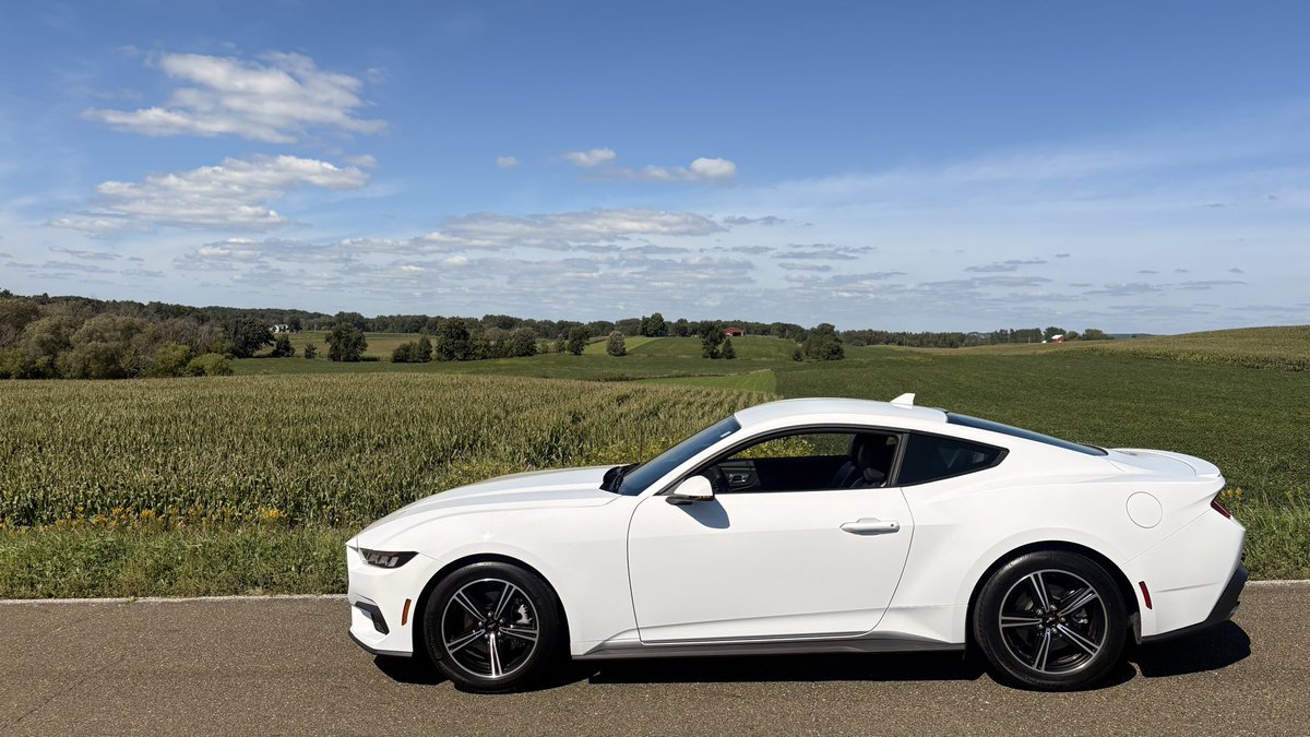 drburant's tweet photo. Soon the 1 year anniversary of driving this off the lot, fully paid for. Still love it just as much as I did day 1!

10 years ago if you told me I’d be driving my new white Mustang (in homage to my old 2001 white Mustang) I’d have thought you were insane.

How far one can come. https://t.co/dvx4VmPsX1