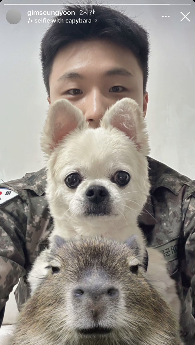 as_yuuwish's tweet photo. 김승윤 기엽네 ㅋㅋ https://t.co/lJoPwV4pfl