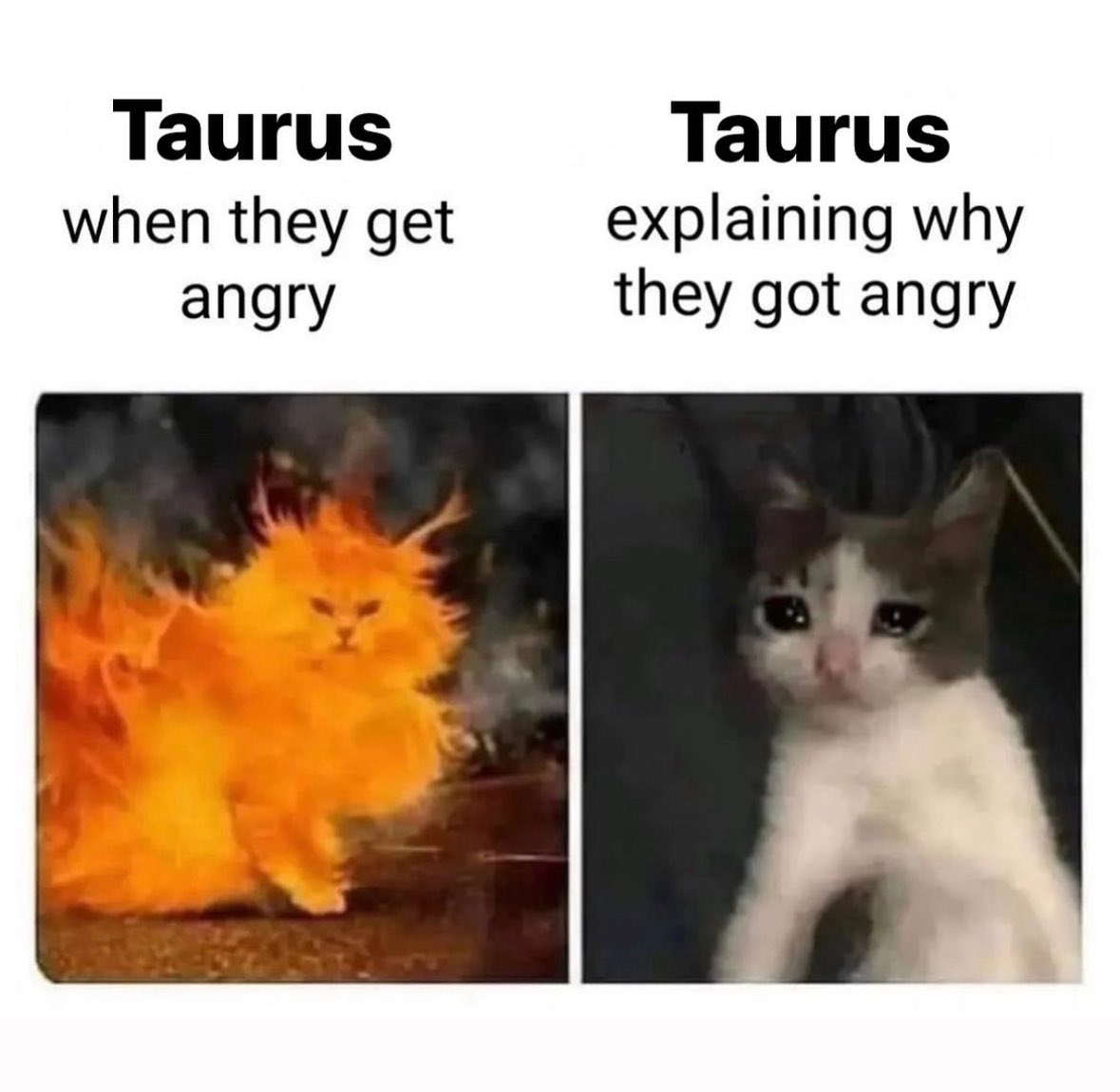 taurusismagic's tweet photo. Seriously…. https://t.co/KMED58nXR8