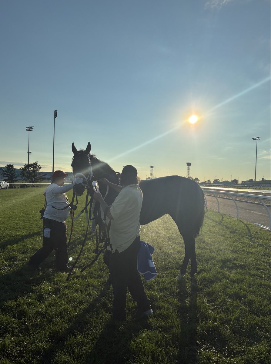 a_llellewyn_j's tweet photo. Excited to watch Gas Me Up take on an impressive field @WoodbineTB in the Grade 1 Woodbine Mile this Saturday!  Good luck to the connections @ExlineBorder, @kevin_attard, and @FraserAebly, hoping for a safe trip! https://t.co/bwS63Uix6u