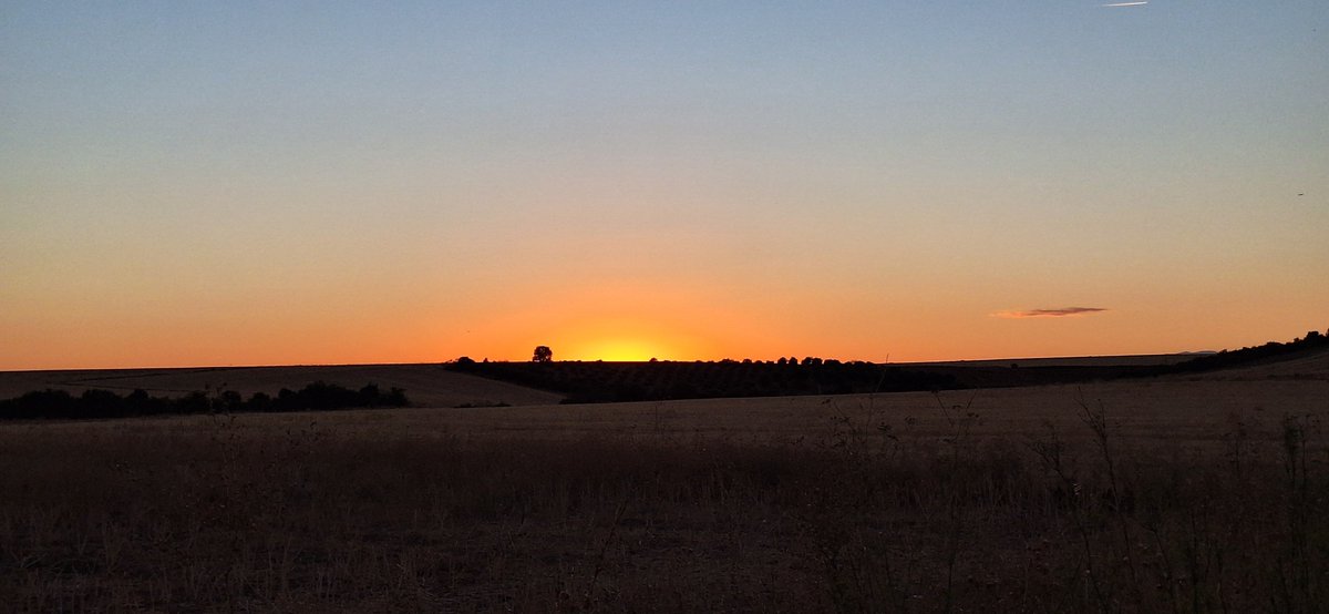 SonsoZatarain's tweet photo. LA TARDE...de tarde en tarde
#AtardeceQueNoEsPoco
#totakeawalk🚶🏾‍♀️🥾🦯 
🌅 https://t.co/eqiULRRK86