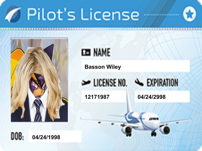 B4ssBust3r's tweet photo. Yeah look here's my pilots license I was just showing R.O.B. https://t.co/mKMCfRXd0Z