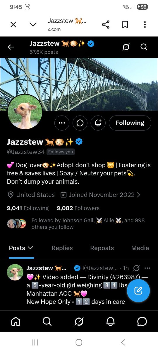 Hawkesbay69's tweet photo. ✨️patriot Connections✨️
@WhitleyAnn19034 
@Jazzstew34 
🇺🇲 https://t.co/LrxWmWMf04
