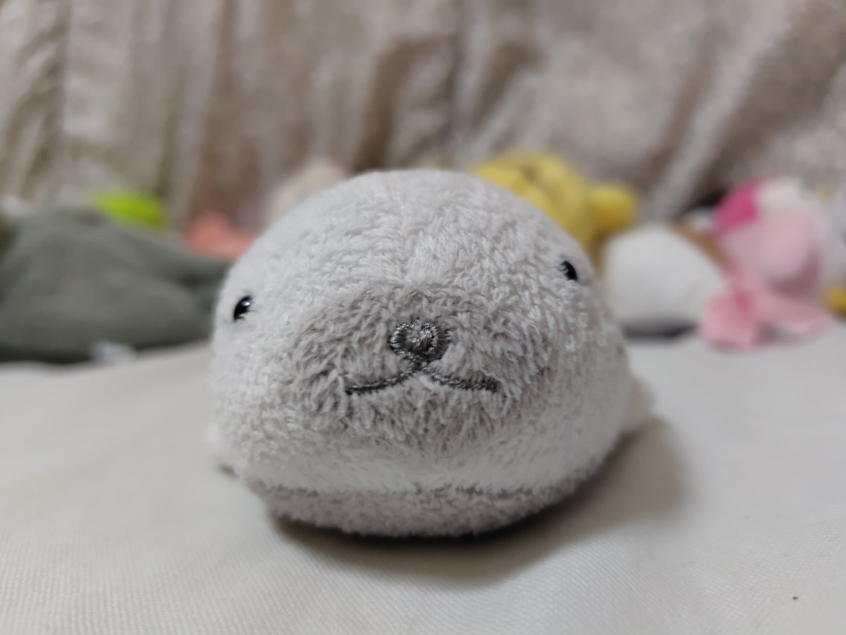pimipimi3's tweet photo. 「ら」の予測変換で「ランドセル」と出てくるので何だろうと思ったらコレでした

ワタクシに最も必要ないものだけど、ジョニーに担がせるランドセルがあれば欲しいです https://t.co/M3uSmUdRtC