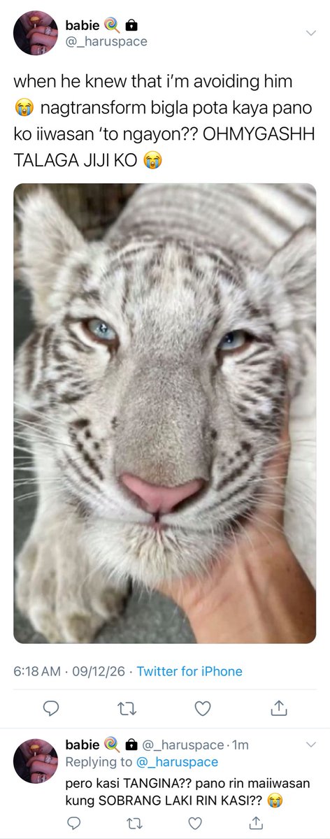 vkbwi's tweet photo. “Sometimes, being kind comes with a price.”

— a filo #taekookau where humans and hybrids coexist, Haru Kurosawa (jjk) accidentally comes across an injured cub during his mission as a soon to be a mafia boss.

Not knowing what lies ahead for the both of them. https://t.co/KEdpzJJWTi