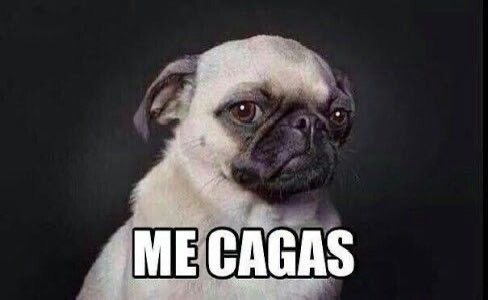 lysmyspace's tweet photo. @desamaldo esplicame como t puedo odiar y amar tanto al mismo tiempo https://t.co/h8MeInWzzC
