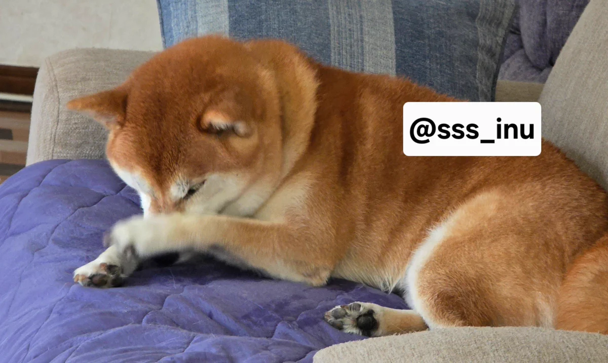 犬 (@sss_inu) / X
