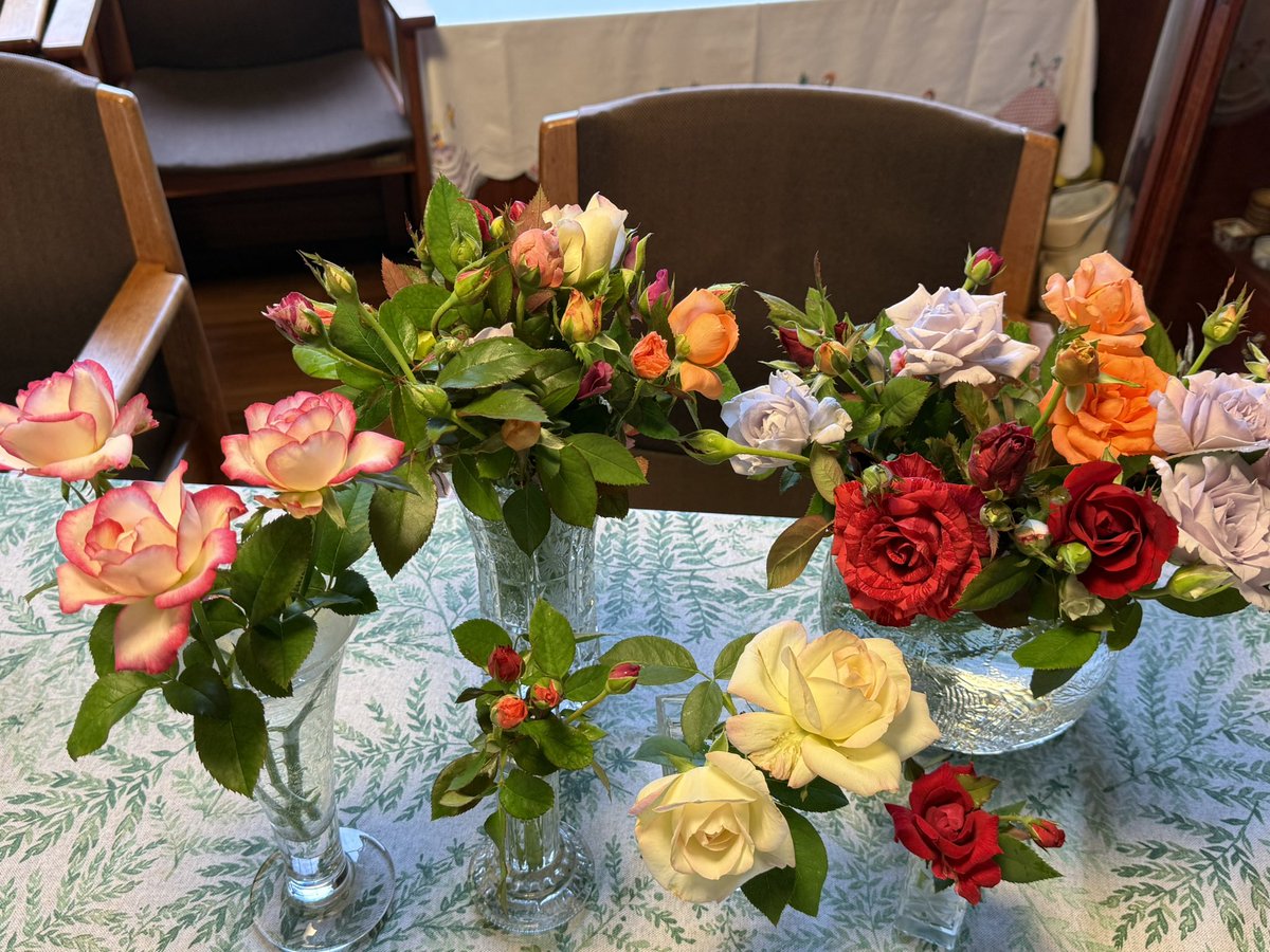 ottohime1155's tweet photo. おはようございます💕

夏剪定の薔薇たち🌹🌹🌹

また咲くのを待ってるね💕︎ https://t.co/oXK3C6G1NA