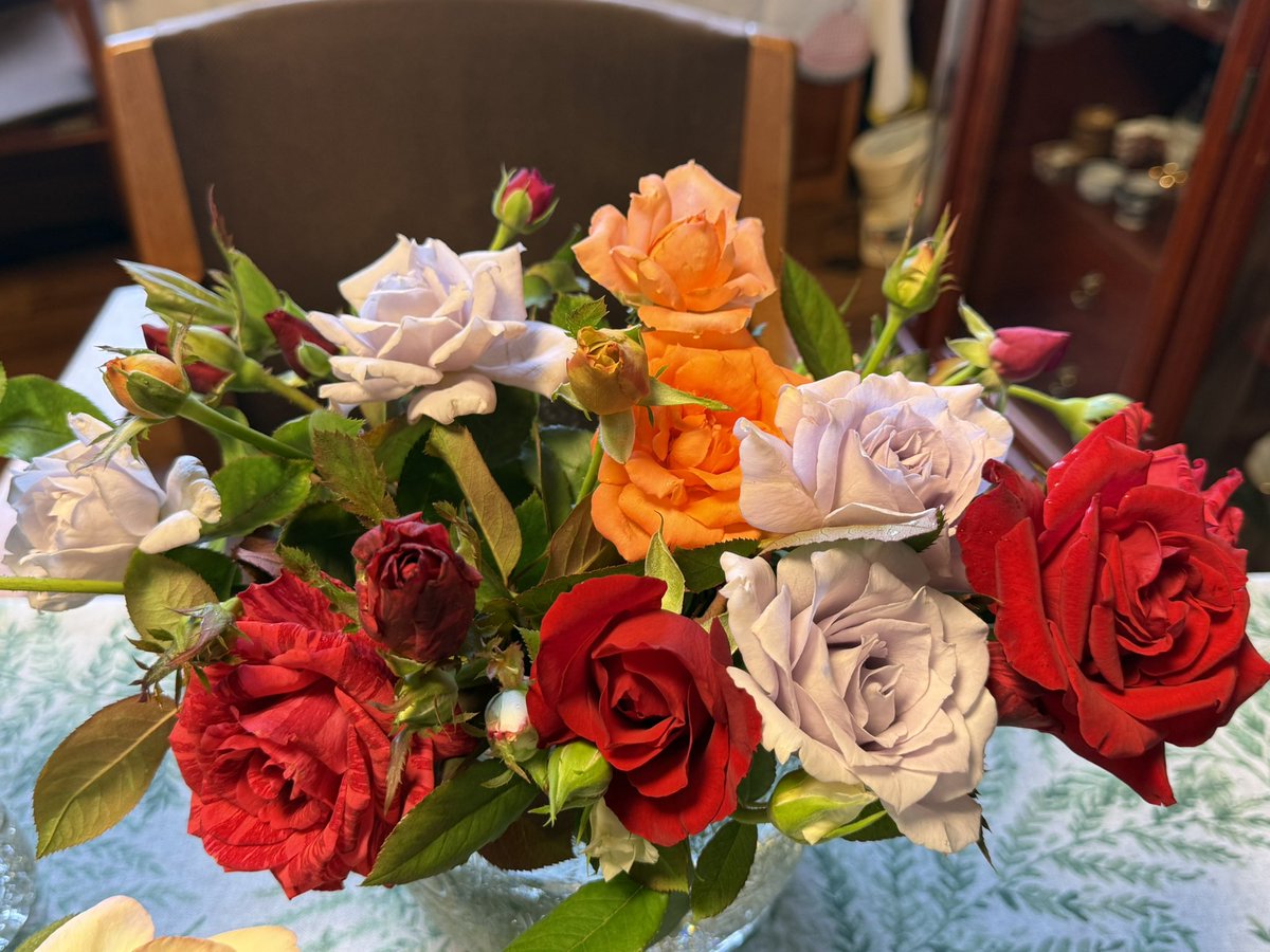 ottohime1155's tweet photo. おはようございます💕

夏剪定の薔薇たち🌹🌹🌹

また咲くのを待ってるね💕︎ https://t.co/oXK3C6G1NA