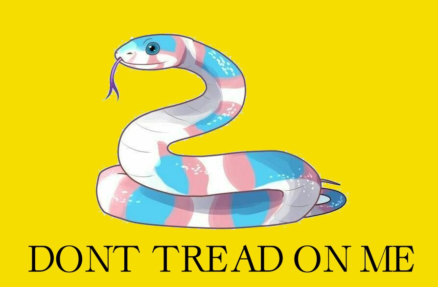 LPCLC_TX's tweet photo. The government wants you to suffer because you are trans. 

The government wants you to starve because you are trans.

The government wants you to be 'below human' because you are trans. 

There is only one rational response to the government wanting to suppress you. https://t.co/CUmC0ZH4nl