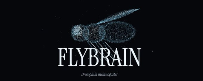 frvltflvdcv's tweet photo. @fruitflydev In the Meantime: Users are invited to vote on the FLYBRAIN Rewards Date.

All active voters will gain a bonus allocation upon launch.

For more info, visit: https://t.co/DwKx2w1Y9X https://t.co/xEq9NozbnQ