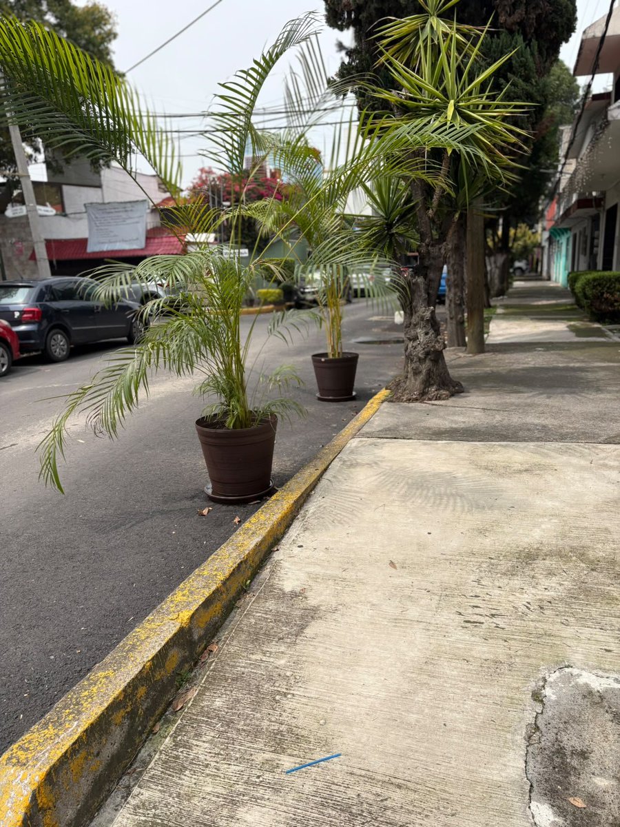 RAMONOEL's tweet photo. Solicito retiro de bienes mostrencos en la calle cerro Culiacán 79, Col. Hermosillo C.P. 04240 Coyoacán, la calle es doble sentido y no permite el libre tránsito. @Alcaldia_Coy @SSC_CDMX @OVIALCDMX @UCS_GCDMX https://t.co/Z6LOWvD46w