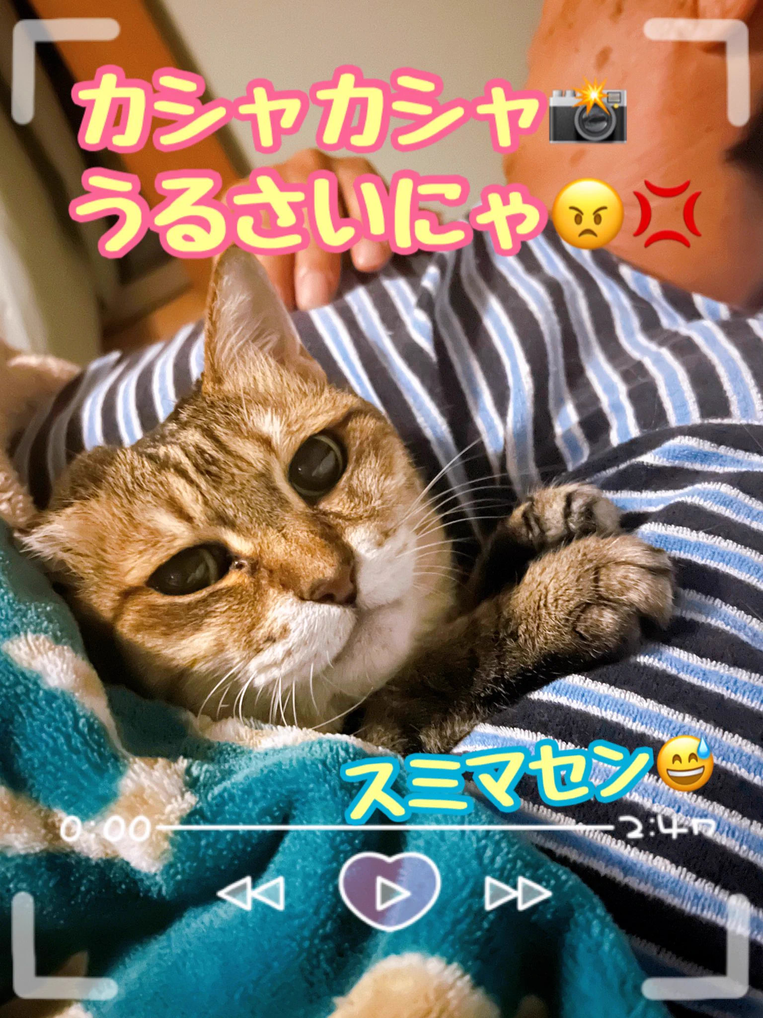 らてまま on X: 
