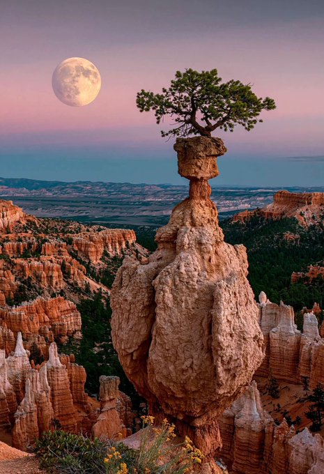 Michael_610644L's tweet photo. Bryce Canyon at Moonrise — Nature Couldn’t Have Framed It Better ✨🏜️ https://t.co/ZE8qSYcLZI