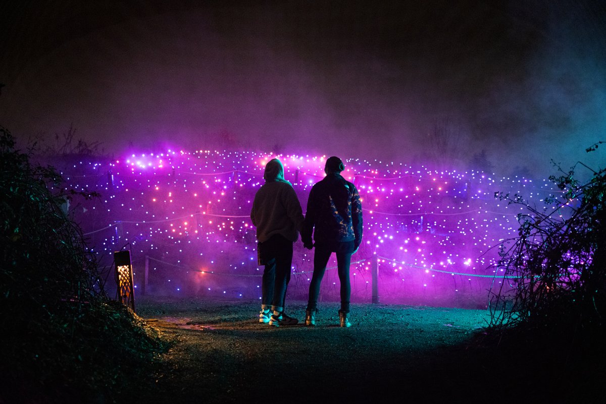 ParkBoard's tweet photo. 🌲Stanley Park lighting up – check 
🎆Nine thematic zones – check
🎶360-degree immersive scenes and sound - check

Astra Lumina Night Walk is coming to Stanley Park this fall 🎉

More info: https://t.co/Z7xUE9xJsH https://t.co/CEsybib8ZX