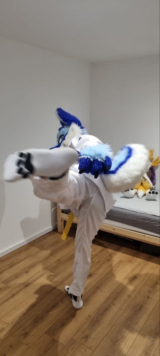Karleo7's tweet photo. And couple last ones - no feet paws version, but paws nonetheless.

Doing it in fursuit made it hard, but really fun!

📸: @ Royal_Renamon
#fursuitfriday #taekwondo https://t.co/hXO8sqMEUk
