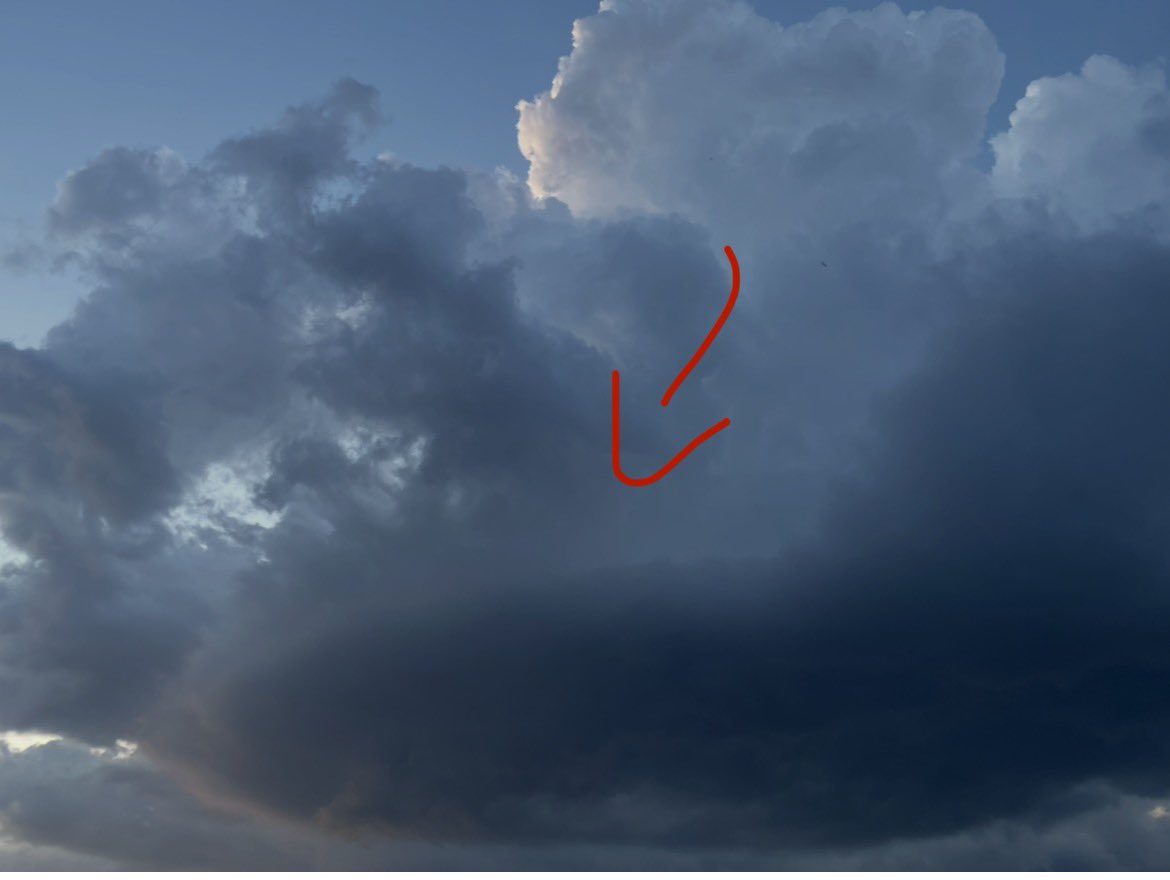 iamkscarlet's tweet photo. Not usually into conspiracies… this looks awfully suspicious 🛸 #UFO https://t.co/fQfwdicx3B